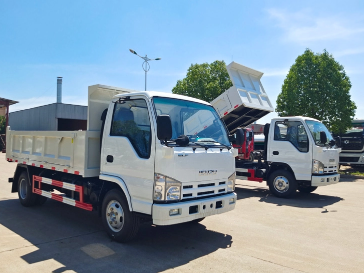 إلى وحدات أنجولا -2 من شاحنات تفريغ ISUZU 100P